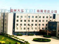 Cangzhou Dahua TDI Co. Ltd.